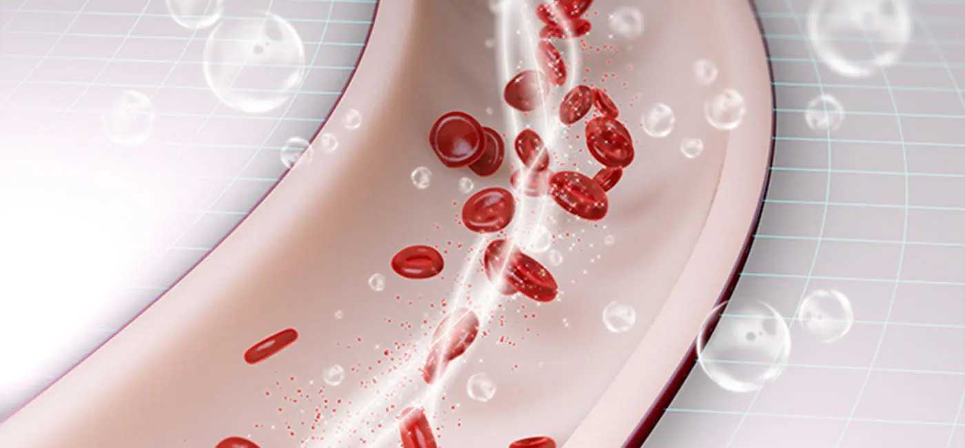 A graphic of an open vein. You can see the blood cells flow through the tube.