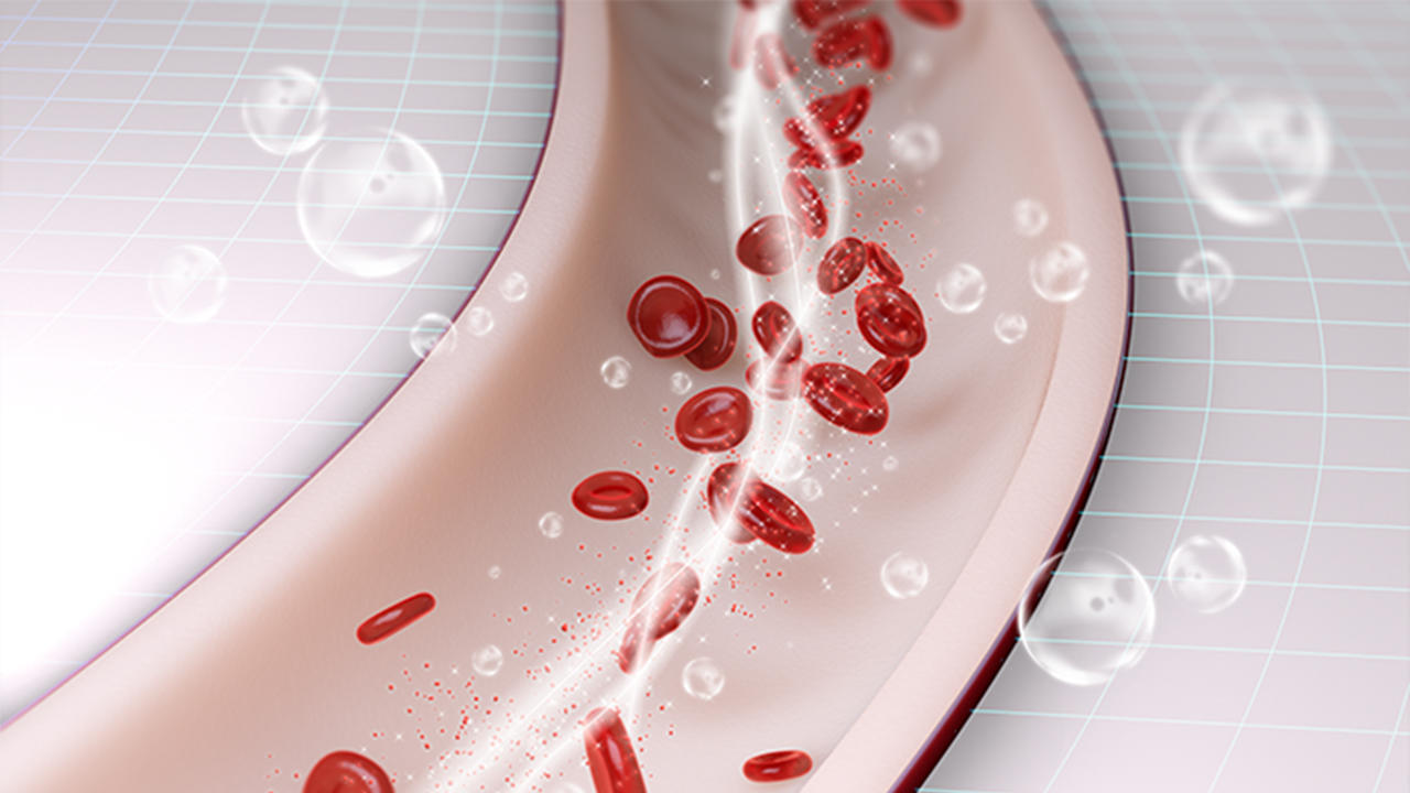 A graphic of an open vein. You can see the blood cells flow through the tube.