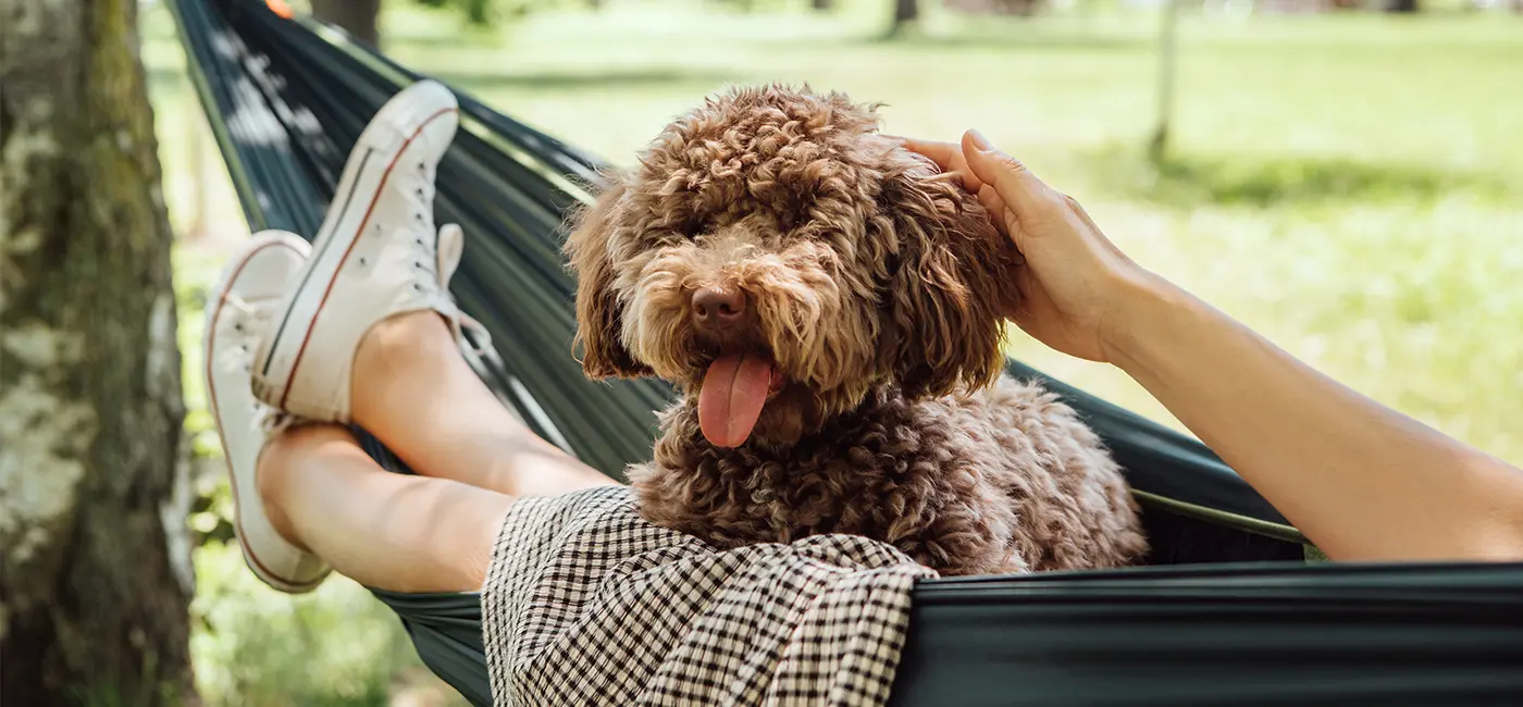 Une femme se détend dans un hamac à l'extérieur, caressant doucement son chien par une journée ensoleillée - un moment paisible de connexion et de calme.