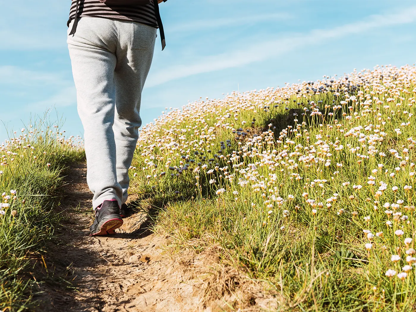Person walking up a path on a hill in spring 