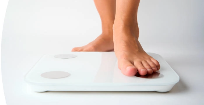 03_LP_Circulation&Obesity_hero