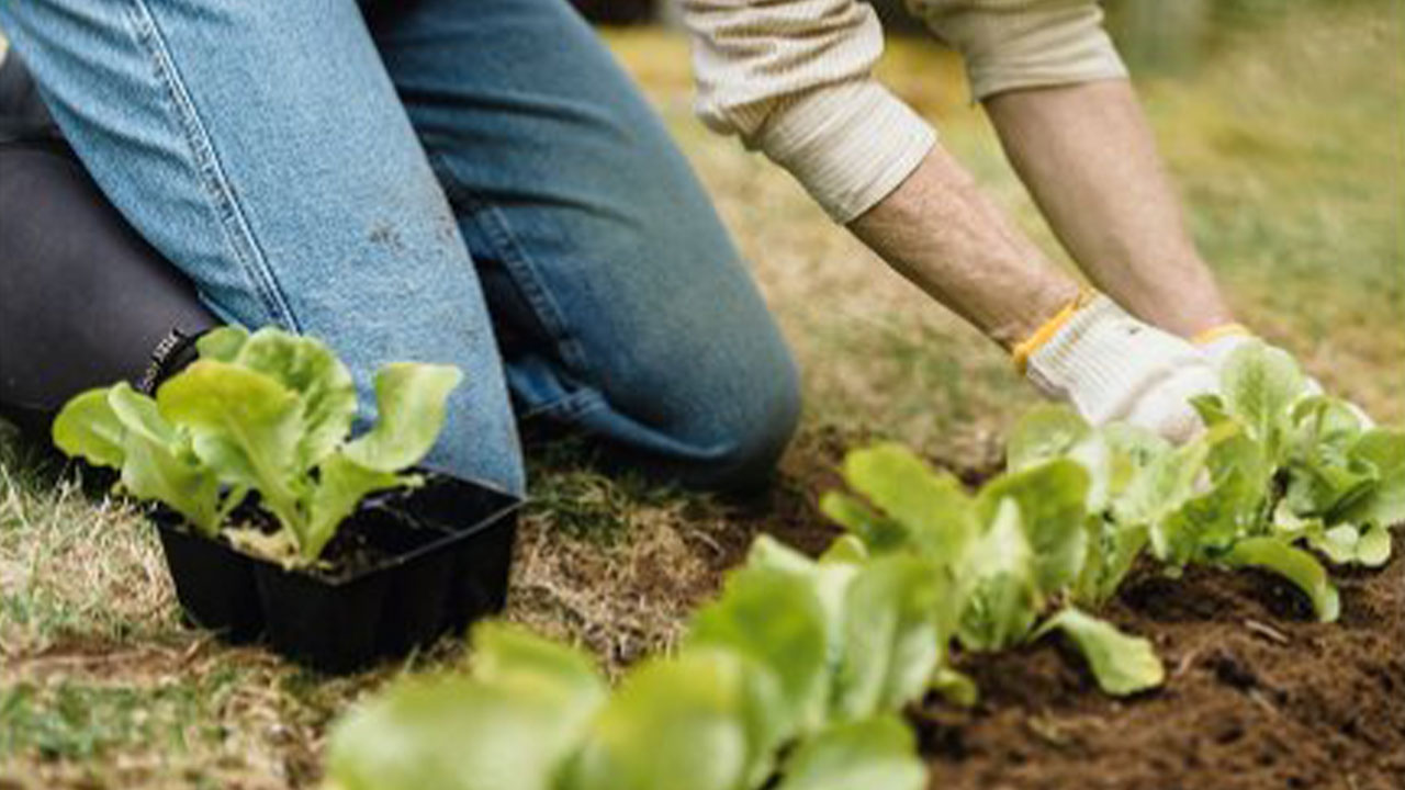 Healthytips_mentalwellbeing