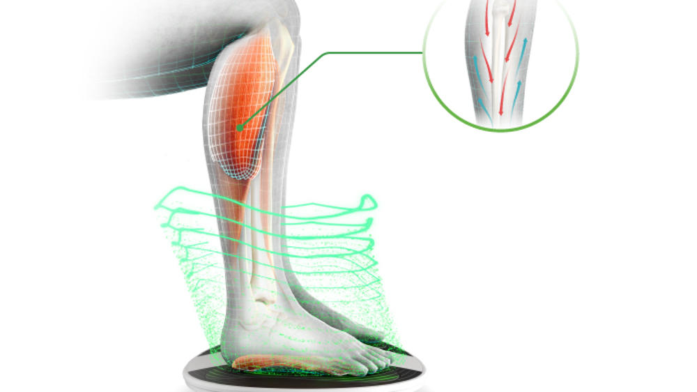 how_revitive_works_circulation