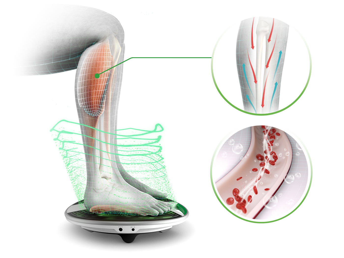 How Revitive Circulation Booster Works Revitive Australia