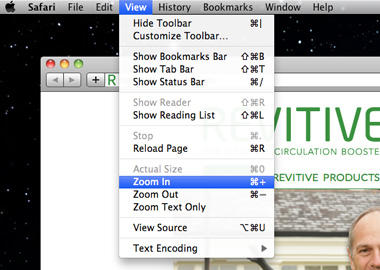 The Zoom menu in Safari