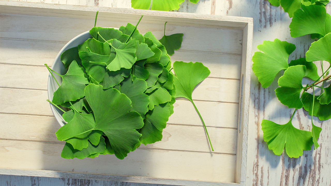 19355548_UK_Article_FestiveFood_Carousel_Ginkgo