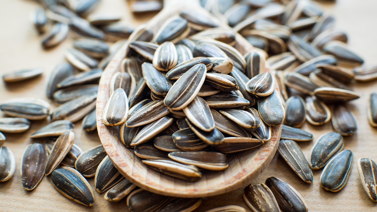 19355548_UK_Article_FestiveFood_Carousel_SunSeeds