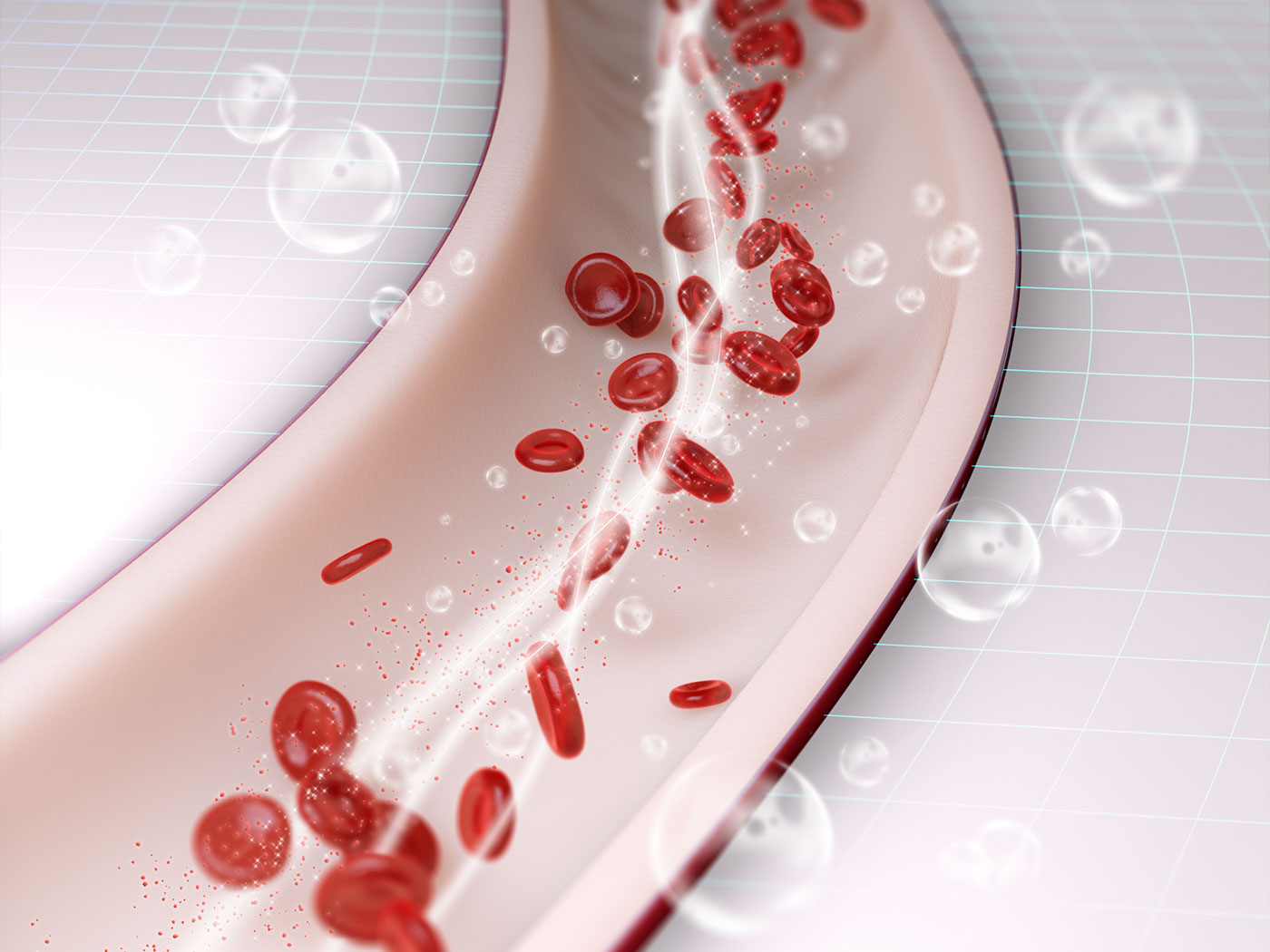 blood_flow_circulation