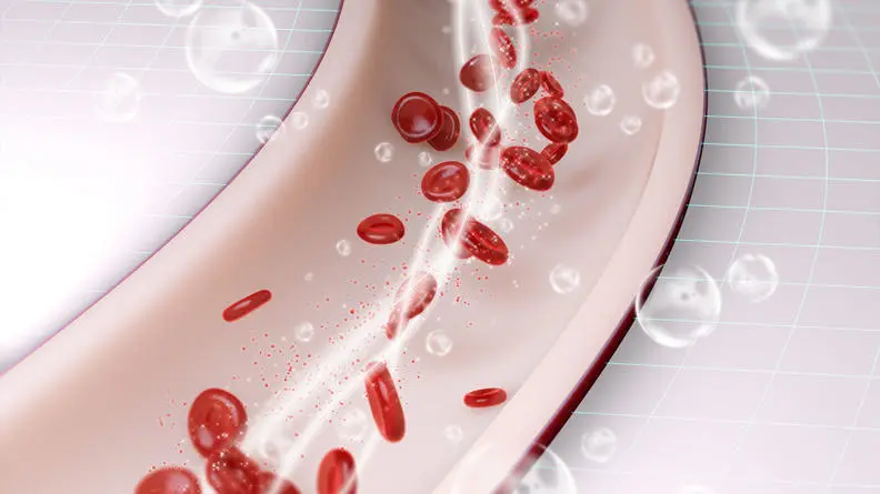 blood_flow_circulation