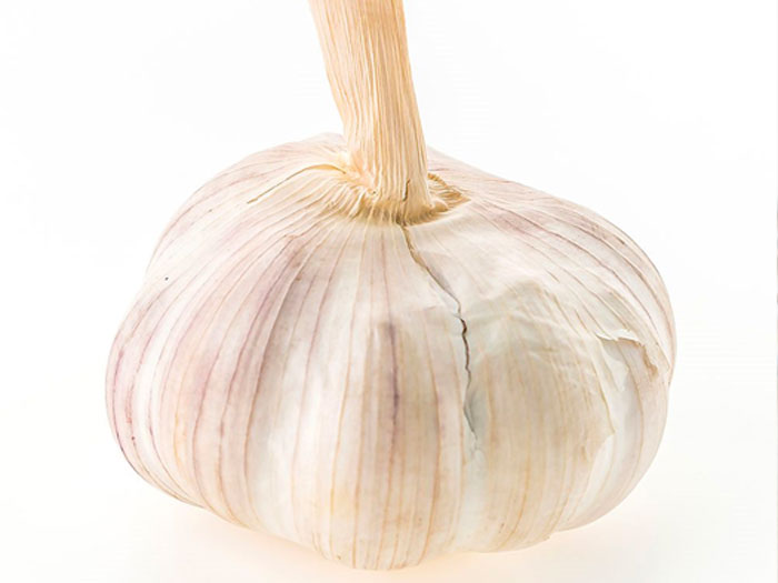 CC_Garlic_DE
