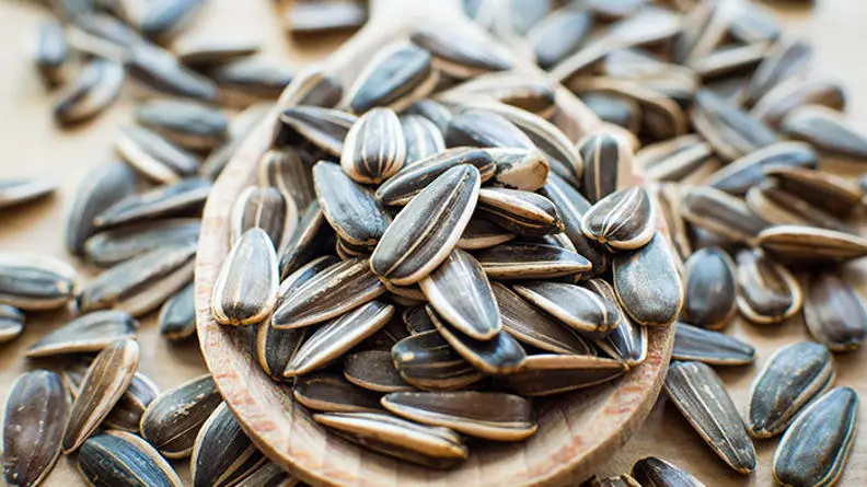 CC_SunflowerSeeds_DE