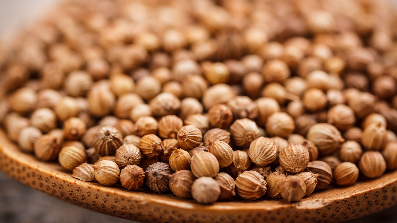 coriander_cc_waterinlegs_de