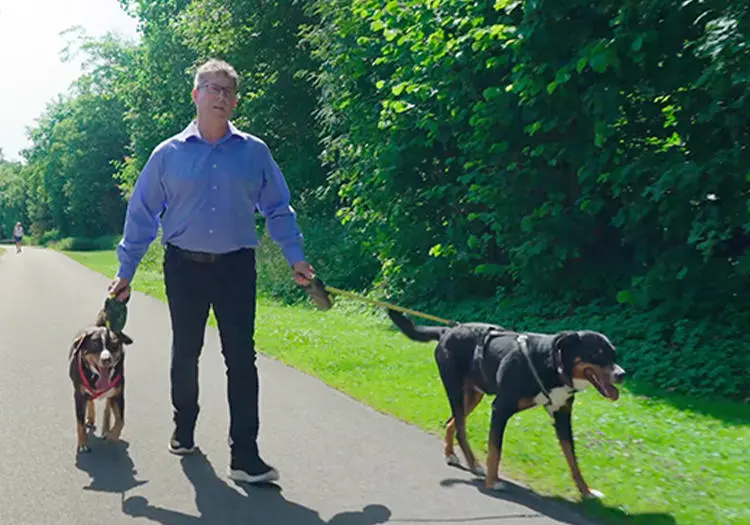 gerhard-walking-dogs-2