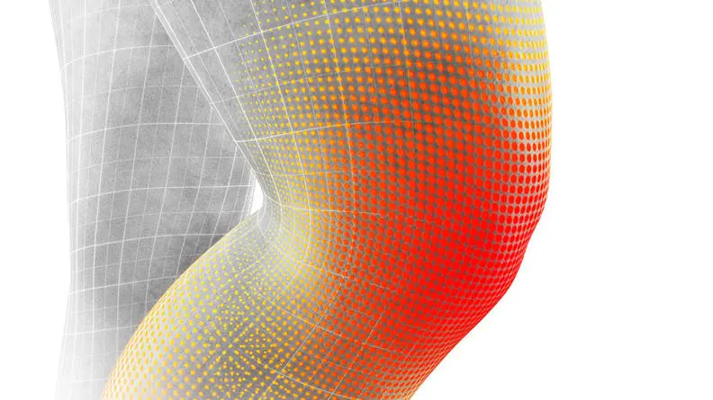 human_need_pain-knee