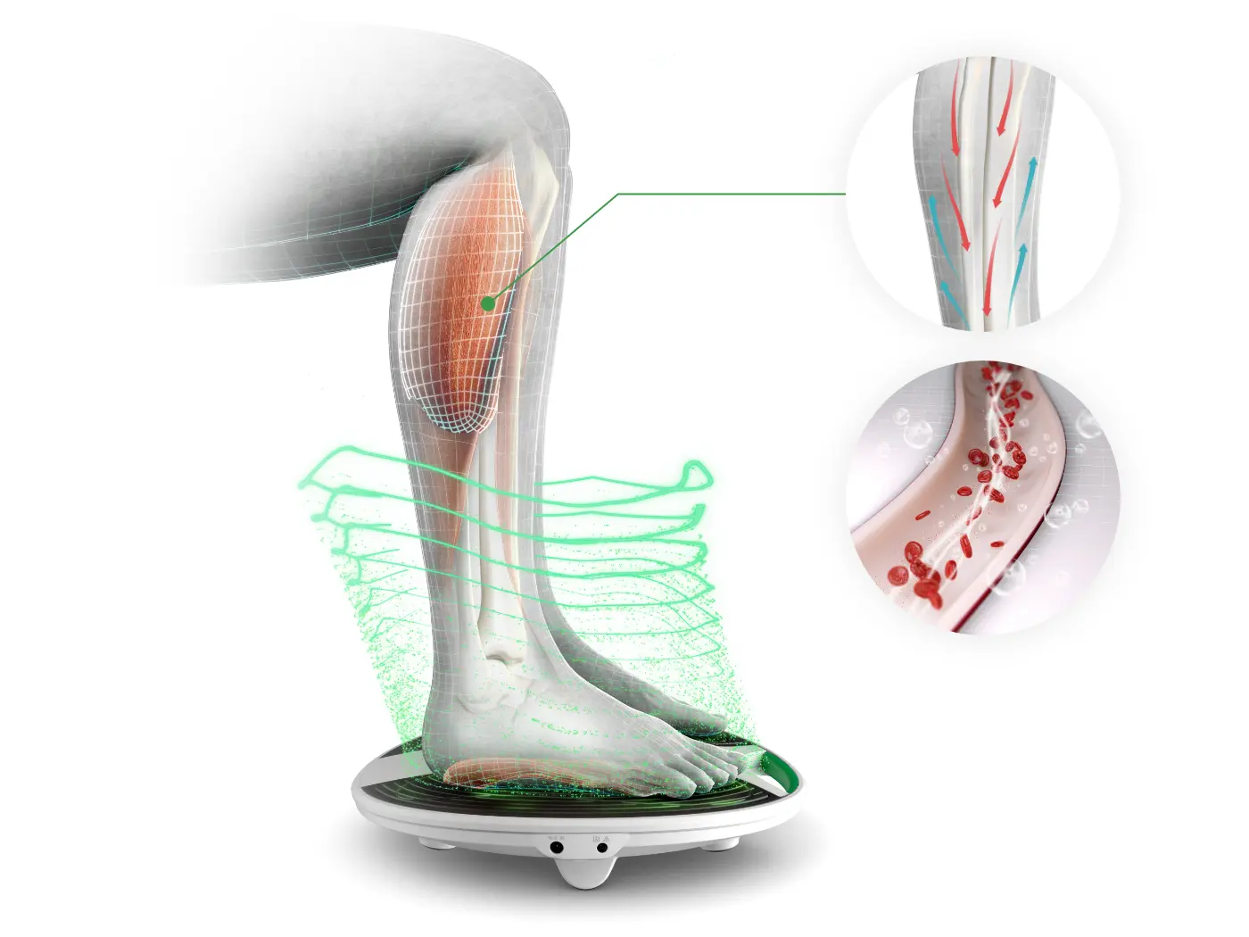 Human need image showing how revitive works 
