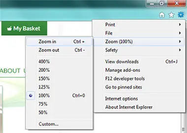 IE Zoom menu