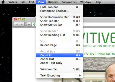 Safari zoom menu