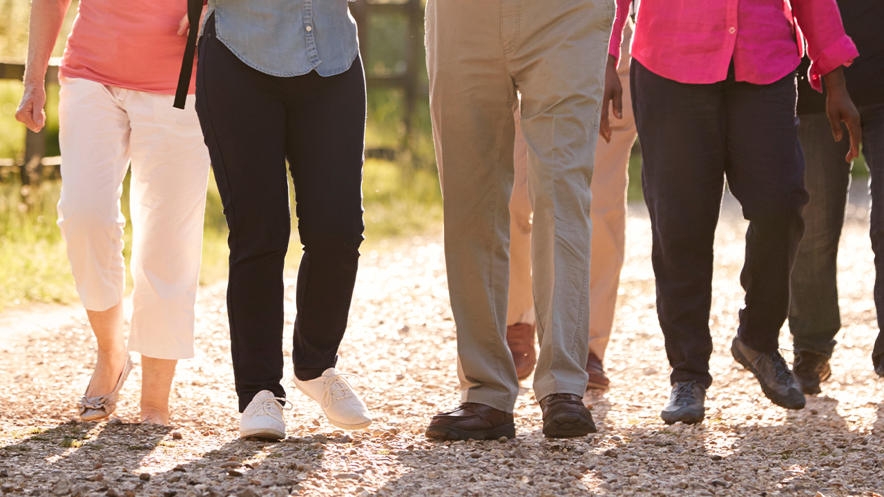 Group of people on a sunny day walking towards the camera. 