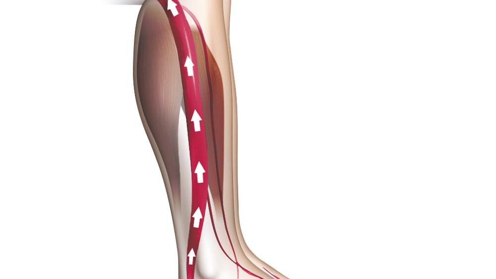 red_vein