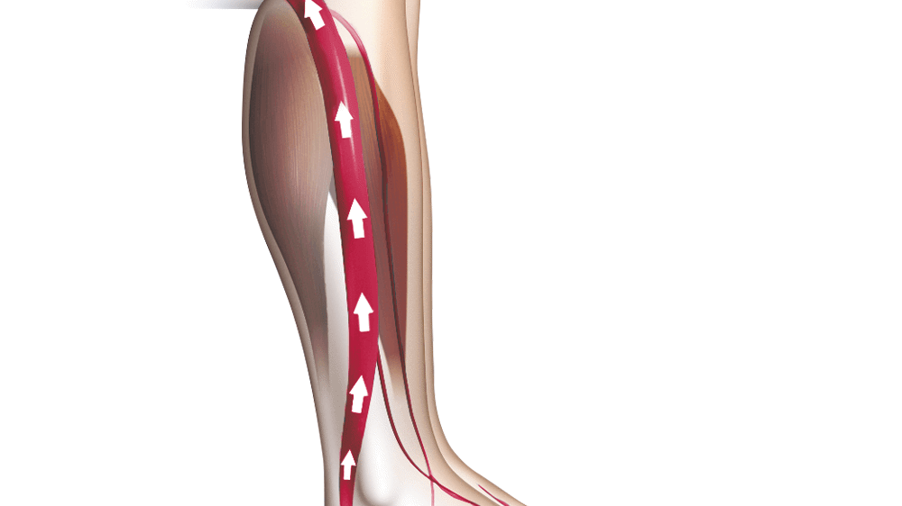 red_vein